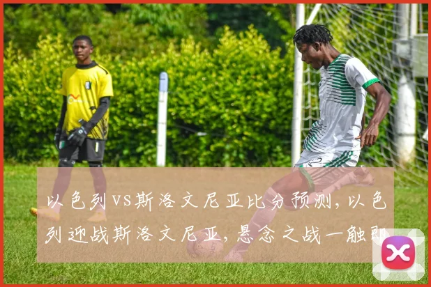 以色列vs斯洛文尼亚比分预测,以色列迎战斯洛文尼亚,悬念之战一触即发,谁将问鼎巅峰