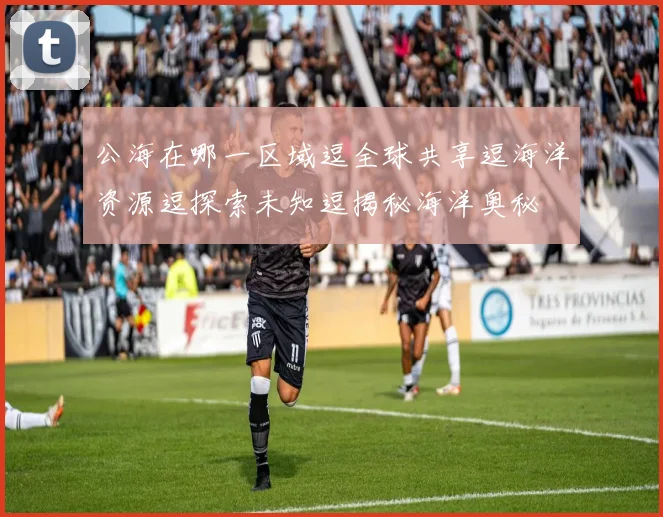 公海在哪一区域逗全球共享逗海洋资源逗探索未知逗揭秘海洋奥秘