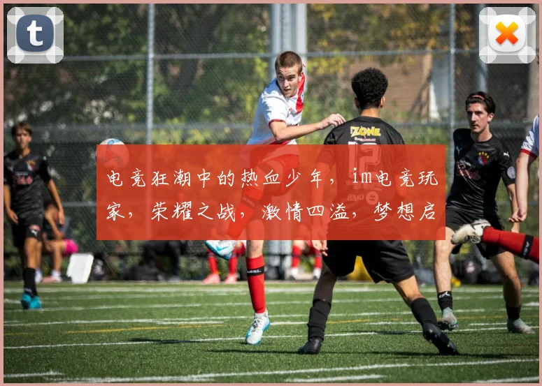 电竞狂潮中的热血少年，im电竞玩家，荣耀之战，激情四溢，梦想启航